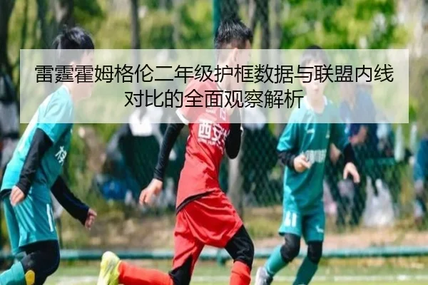 雷霆霍姆格伦二年级护框数据与联盟内线对比的全面观察解析